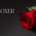 Rosboxar: Its Modern Meaning