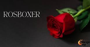 Rosboxar: Its Modern Meaning