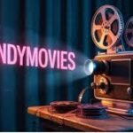 cinndymovies