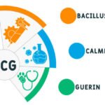 Benefits of Germkezmis1212: The Game-Changing Path to Natural Wellness