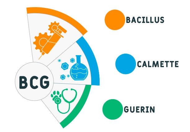 Benefits of Germkezmis1212: The Game-Changing Path to Natural Wellness