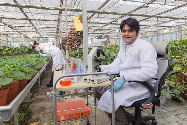 Landbouw Economisch Instituut: Advancing Agricultural Economics and Policy