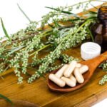 Mannacote: A Complete Guide to Its Health and Nutritional Benefits