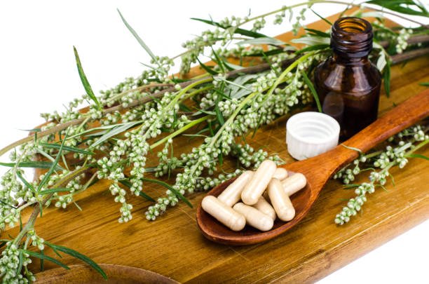 Mannacote: A Complete Guide to Its Health and Nutritional Benefits