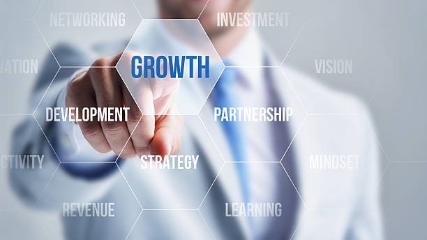 Business Growth Strategist For Scalable Success