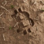 Explore if cryptocurrency is dead.