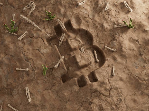 Explore if cryptocurrency is dead.