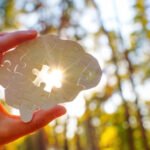 Mental Health Online Practice Guide