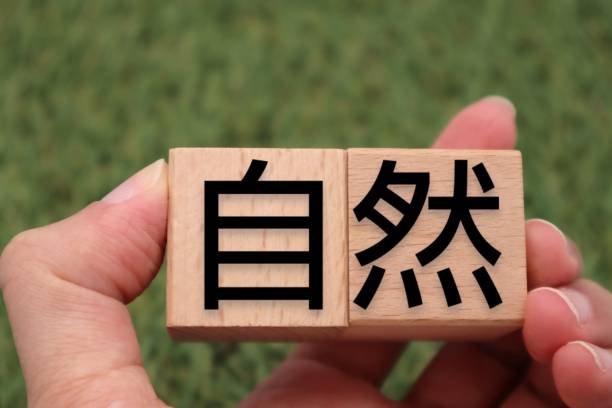 Çbiri Meaning Explained: Insights for Culture Enthusiasts and Language Lovers