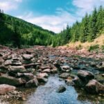 RedditNBAStreams: The Insider’s Guide to Catching Every NBA Game Online