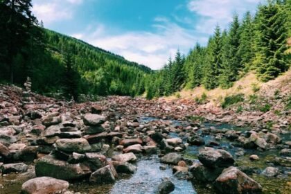 RedditNBAStreams: The Insider’s Guide to Catching Every NBA Game Online