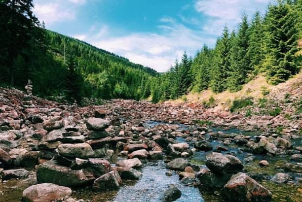 RedditNBAStreams: The Insider’s Guide to Catching Every NBA Game Online