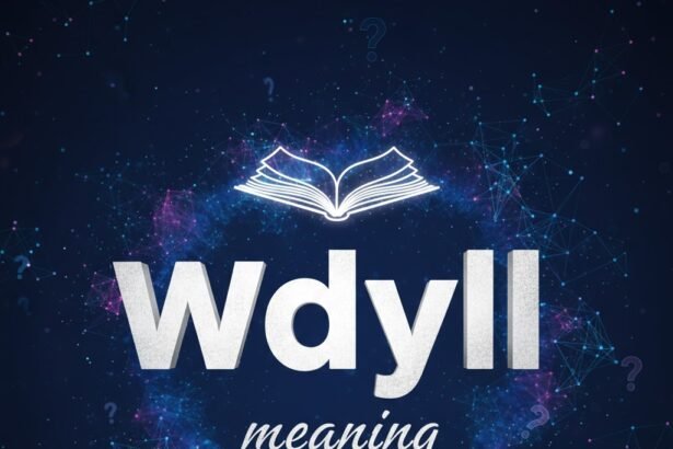 wdyll meaning